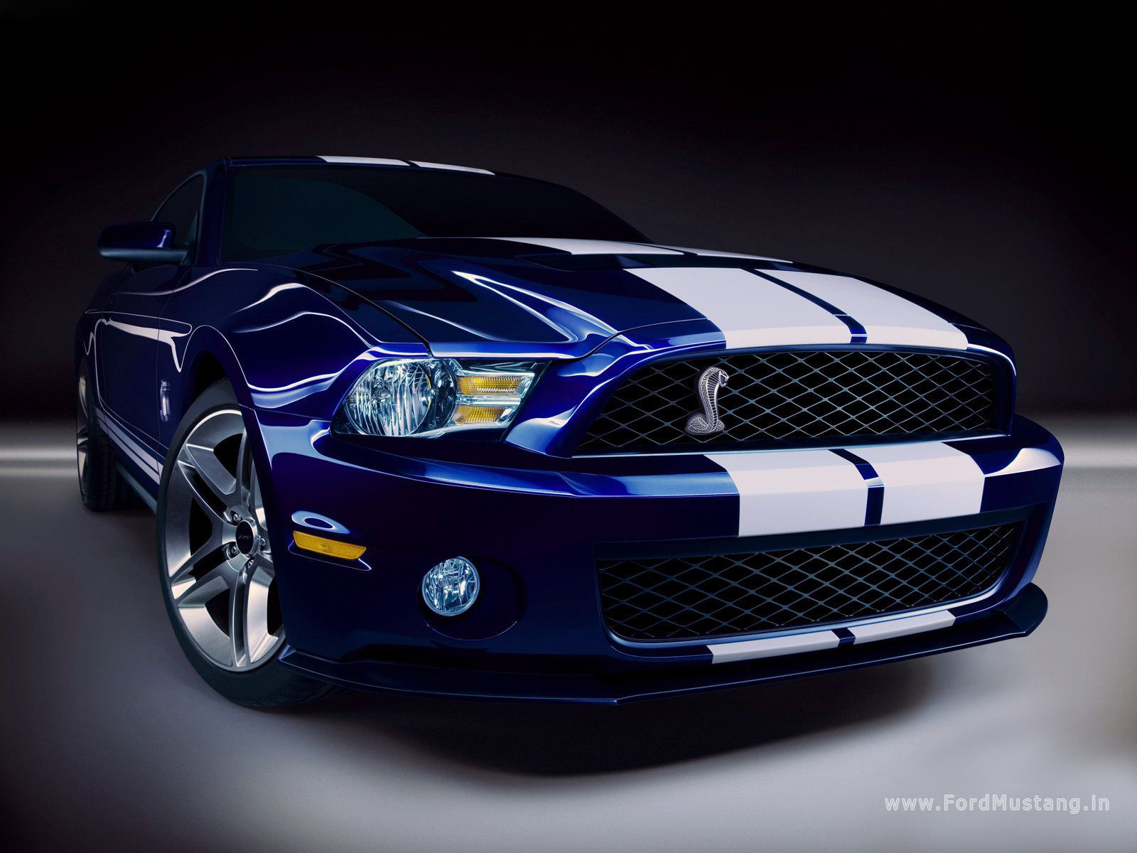 FORD MUSTANG SHELBY GT500 2010 03