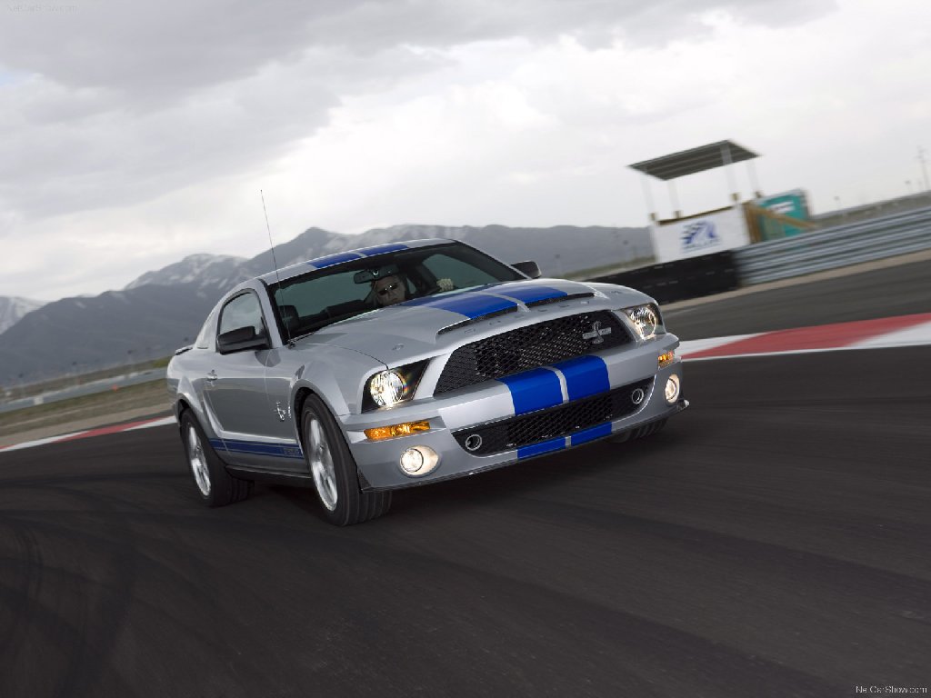 2008 Ford mustang cobra shelby #8
