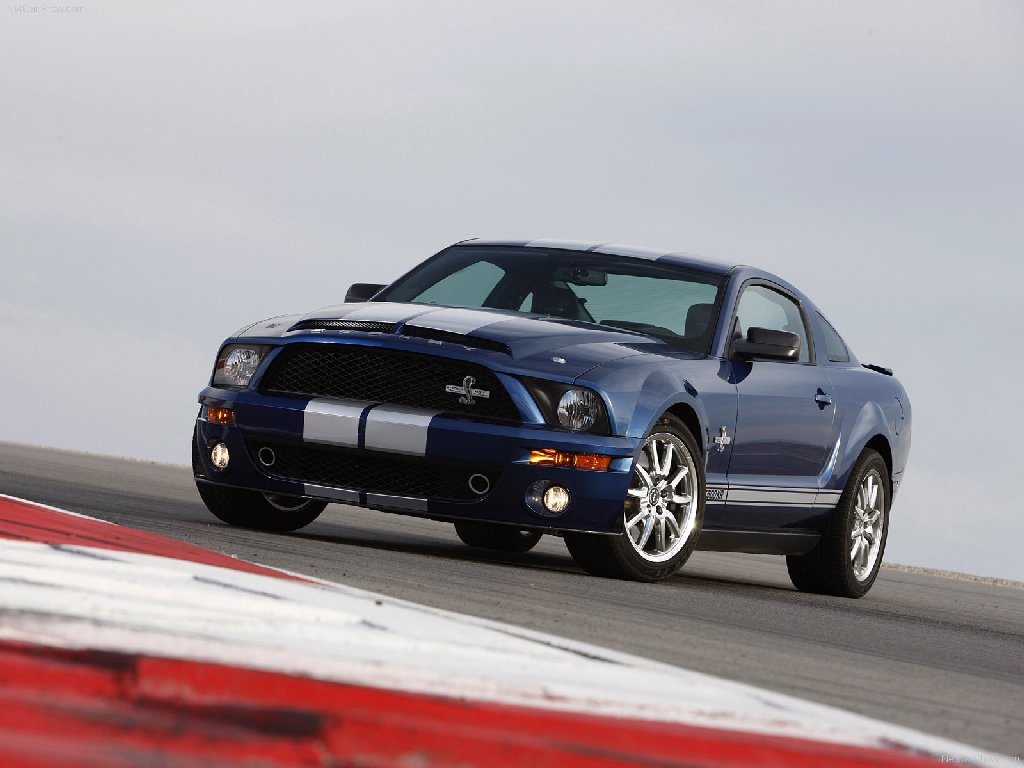 2008 Ford mustang cobra shelby #10