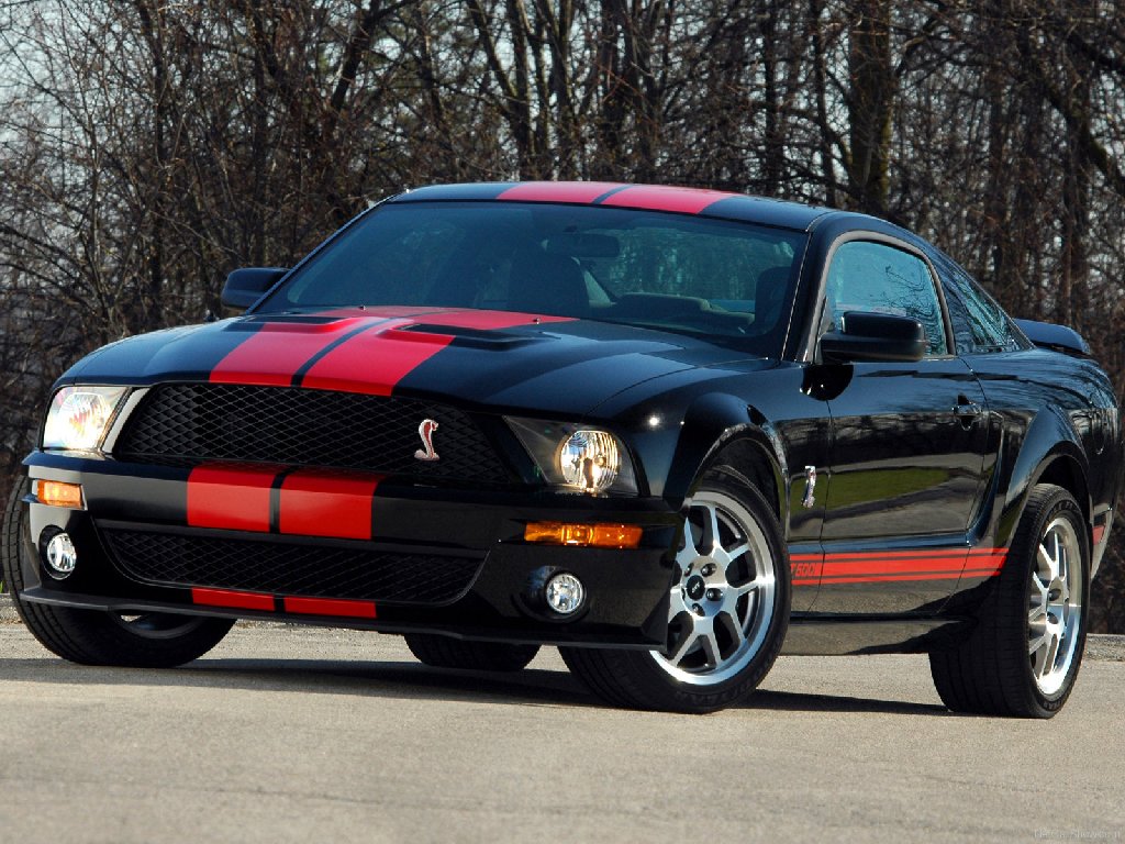 2007 Ford mustang shelby cobra gt 500
