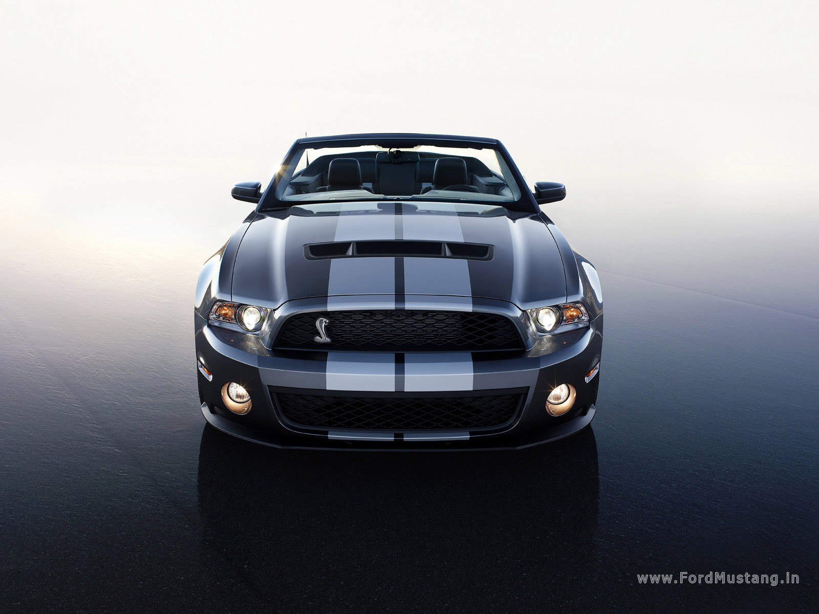 2010 Ford mustang shelby gt500 convertible for sale #9