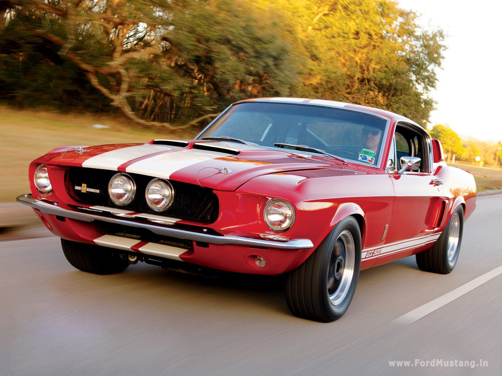 1967 Cobra ford mustang shelby #4